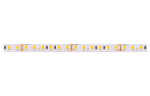 LED strip 24V 9.6W/m hermetic IP65 warm white 3000K 921lm/m