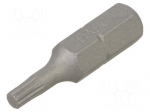 Screwdriver bit | spline (12-angles) | XZN M3 | 1/4" | 10pcs.