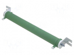 Resistor: wire-wound | 22&Omega; | 200W | &plusmn;5% | &Oslash;31x254mm | 300ppm/&deg;C