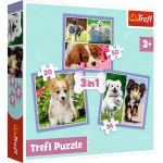 Žaidimų zona | PC | Konsolės | Priedai // Edukaciniai žaislai | Interaktyvūs | Kūrybi&scaron;ki | Meni&scaron;ki // Puzzle - 3w1 (20, 36, 50) - Urocze pieski - Trefl 34854