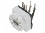 Encoding switch | DEC/BCD | Pos: 10 | THT | Rcont max: 80m&Omega; | PT65