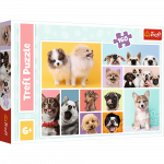 Žaidimų zona | PC | Konsolės | Priedai // Edukaciniai žaislai | Interaktyvūs | Kūrybi&scaron;ki | Meni&scaron;ki // Puzzle - 160 - Psia przyjaźń - Trefl 15412
