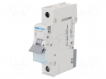 Circuit breaker | 230/400VAC | Inom: 6A | Poles: 1 | Charact: C | 6kA