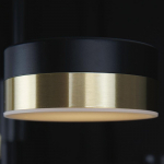Pakabinamas &scaron;viestuvas Maxlight Puma 46 P0404