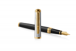 Waterman Exception Reflets De Paris Plunksnakotis su graviravimu