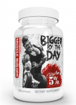 "Bigger By The Day" Liesos raumenų masės augimui &lsquo;Rich Piana 5%&rsquo; (90kaps/30porc)