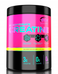 Creatine Monohydrate V2.0 &ndash; mikronizuotas kreatino monohidratas | Genius Nutrition (400 g / 133 porc.)