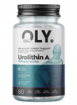 Urolithin A &ndash; grynas papildas 500 mg | Oly (60 kapsulių /60 porcijų)