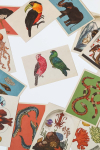 Atvirukas i&scaron; "Animalium" kolekcijos