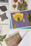 Atvirukas i&scaron; &bdquo;Botanicum&ldquo; kolekcijos
