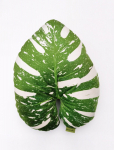 Dekoratyvinė 3D pagalvėlė &bdquo;Monstera&ldquo;