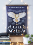 Plakatas &bdquo;Tobulos medžiotojos. 13 Lietuvos pelėdų&ldquo;