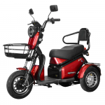 Elektrinis Triratis Lidia, 800W, Li-ion