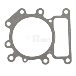 Cilindro galvutės tarpinė Briggs&Stratton 794114