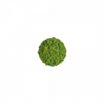 Sieninio &scaron;viestuvo CHAMALEON diskas, &scaron;viesiai žalias, 145mm, K0003140VEC