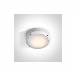 Lauko plafonas, E27, baltas, 67204/W