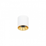 10W LED pavir&scaron;inis &scaron;viestuvas ALTISMA, matinės baltos/aukso sp., 3000K