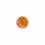 Sieninio &scaron;viestuvo CHAMALEON diskas, oranžinės sp., 14,5cm, K0003440NA