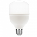 20W LED lemputė, balta, E27, 6500K