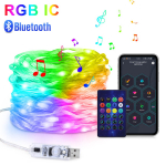5M/10M/20M WS2812B RGBIC &bdquo;Bluetooth&ldquo; kalėdinės lemputės LED styga Gimtadienio vakarėlio vestuvių kambario dekoravimo &scaron;viesa Adresuojama 5V USB 5M-50LEDs
