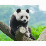 Visi&scaron;kai apvalus grąžtas deimantinis siuvinėjimas &bdquo;Panda 5D&ldquo; &bdquo;pasidaryk pats&ldquo; deimantinis dažymas kryželiu kri&scaron;tolinis 20X30CM