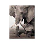 Laukinių dramblių motina ir vaikas plakatas su gyvūnų drobėmis pie&scaron;iamas gyvenamasis kambarys HD spausdinimo vaizdas 21cm&times;30cm NoFrame