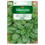 &Scaron;pinatų Matador sėklos 20g - VILMORIN