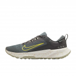 Nike Juniper Trail 2 GTX V2 Vidutinio peleno &Scaron;viesinantis Vyri&scaron;ki sportbačiai Pilki HM9734-200 42 gray