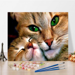 Menas &bdquo;Pasidaryk pats&ldquo; Tapyba pagal skaičius Deimantinė tapyba Aliejinė tapyba Skaitmeninė aliejinė tapyba Pomėgiai Namų dekoras Skaičiai Tapyba 40x50cm no frame