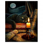 Pilnas 5D &bdquo;pasidaryk pats&ldquo; deimantinis paveikslas &bdquo;Magic Cat&ldquo; deimantinis siuvinėjimas &bdquo;Anime&ldquo; kryžminio dygsnio rinkiniai namų dekoras, rankų darbo dovana 20x30cm