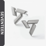 Seventeen Connect auskarai