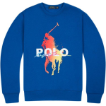 Polo Ralph Lauren Spausdinto Ra&scaron;to Apvalios Kaklo Palaidinė Vyri&scaron;ka Palaidinė MNPOKNI16821864-401 XS