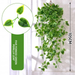 Kreminės spalvos dirbtinės gebenės begonijos lapai kabo green dill leaves