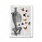 Retro žodyno citata, kūno menas, medicininis kūrybi&scaron;kumas, plakatas, spausdinimas, gėlėtas dubens anatomija, modernus drobės paveikslas, kambario namų dekoras 21x30cm No Framed