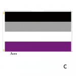 10PCS Gay Pride Flags Easy To Hold Mini Homosexual Rainbow Flag With Flagpoles For Cheers Pride Festival Party Accessories 14x21cm A-with Flagpole