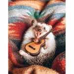 Deimantinis 5D &bdquo;pasidaryk pats&ldquo; deimantinis pie&scaron;imas ežiuko gitara, mozaikinis kryžminio dygsnio meno ra&scaron;tas deimantinis siuvinėjimas, amatai, namų dekoravimas Full Round 20X30CM