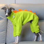 Žieminiai &scaron;ilti poliarinio vilnos &scaron;unų drabužiai Dinazauro formos &scaron;uns &scaron;iltas kombinezonas Whippet Greyhound Augintinis Keturių kojų paltas (as the picture,M) yellow