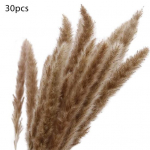 30 vnt. džiovintų augalų, pūkuotų, akį traukiančių, 2 spalvų, puikių dirbtinių džiovintų žolių augalų namams