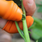 Silikoninis nyk&scaron;čio peilis pir&scaron;tų apsaugas krumpliaračiai daržovių pjovimas daržovių derliaus nuėmimui peilis gnybti augalų a&scaron;menis žirklės sodo pir&scaron;tinės L