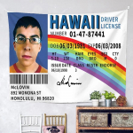 1 Įdomus McLovin ID Vėliava Kabinamas Gobelenas, Gobelenas Baneris, Didelės Rai&scaron;kos Spauda, Gaivi Vėliava Universitetų Bendrabučiams