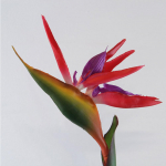 Vestuvių dekoras Strelitzia Reginae Rojaus pauk&scaron;tė Dirbtinė gėlė
