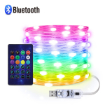 Lauko USB LED lempučių girlianda, svajonių spalvos RGBIC, Bluetooth, muzikos programėlė, kalėdinės, vestuvių, vakarėlių girliandos dekoracijos 5M įvairiaspalvis