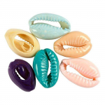Breloque intercalaire - Multicolore - 6 pcs - Cauris authentiques - Excellente qualit&eacute; - Mixte