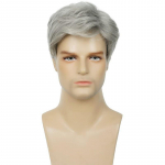 Men's gray handsome fluffy short hair