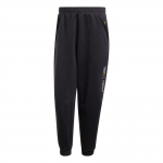 Adidas X Terrex X National Geographic FW24 Aeroready Laisvo kirpimo Megztos sportinės kelnės su raidėmis ir rankogaliais Vyri&scaron;kos kelnės Juodos JJ4360 XL