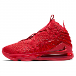 Nike LeBron 17 EP 'Red Carpet' sportbačiai BQ3178-600 41