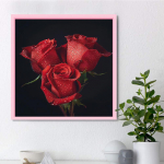 DIY Diamond Painting Bright Red Rose Cross Stitch Kit Mosaic Art Diamond Painting Full Circle/Square Diamond Home Decoration Round 25x25cm