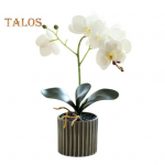 Dirbtinis vazoninis augalas Dirbtinis kandžių orchidėjų bonsas Staliniam kompiuteriui Dirbtiniai vazoniniai Phalaenopsis žiedai namų valgomojo stalui, biuro stalui dekoruoti rožinė