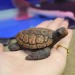 Mini jūros vėžlys modelio dervos akvariumas žuvų bakas namų kra&scaron;tovaizdžio papuo&scaron;alai Dekoravimo priedai Puikiai atliktas i&scaron;dėstymas onesize