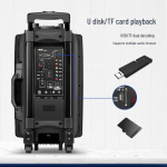 Soai 15 colių ne&scaron;iojama lauko karaoke kolonėlė, CN ki&scaron;tukas (adapteris įtrauktas)